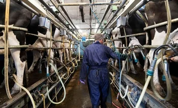 De los agropecuarios, los lecheros son los más molestos al momento.