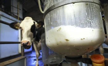 Producción de leche en Uruguay.