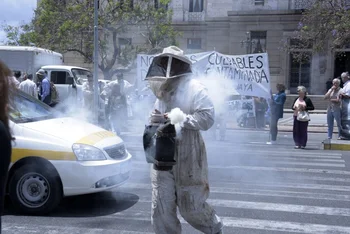 Los apicultores se movilizaron desde el Rosedal del Prado al Palacio Legislativo.<br>