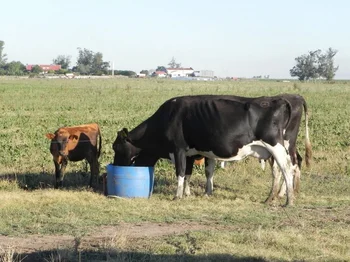 El fondo se financia con $ 1,30 por litro del precio de la leche, más US$ 6 millones de Rentas Generales