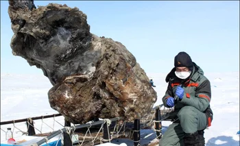 El mamut encontrado en Siberia tiene unos 10.000 años de antigüedad 